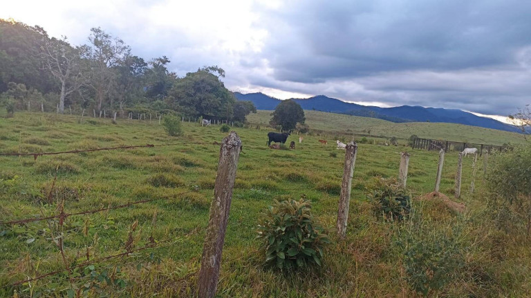 Imagem Fazenda à Venda, 100 m² em Estiva - Taubaté Imagem Fazenda à Venda, 100 m² em Estiva - Taubaté