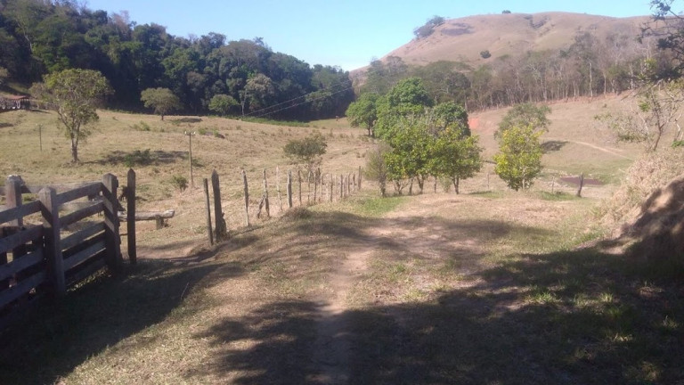 Imagem Fazenda à Venda, 100 m² em Vila Rica - Cunha Imagem Fazenda à Venda, 100 m² em Vila Rica - Cunha
