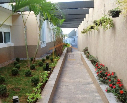 Imagem Apartamento com 3 Quartos à Venda, 69 m² em Casa Verde - São Paulo Imagem Apartamento com 3 Quartos à Venda, 69 m² em Casa Verde - São Paulo
