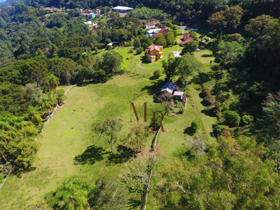 Imagem Casa com 6 Quartos à Venda, 755 m² em Belvedere - Morro Reuter