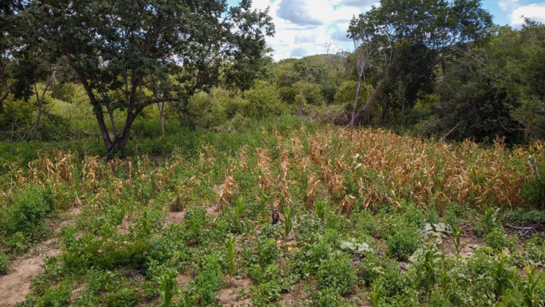 Imagem Imóvel à Venda, 169 m² em Area Rural De Morpara - Morpara Imagem Imóvel à Venda, 169 m² em Area Rural De Morpara - Morpara