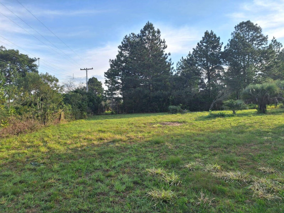 Imagem Terreno à Venda, 3.200 m² em águas Claras - Viamão Imagem Terreno à Venda, 3.200 m² em águas Claras - Viamão