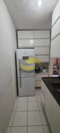 Imagem Apartamento com 2 Quartos para Alugar, 43 m² em Jardim Petrópolis - Cotia Imagem Apartamento com 2 Quartos para Alugar, 43 m² em Jardim Petrópolis - Cotia