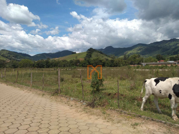 Imagem Terreno à Venda, 250 m² em Centro - Piranguçu