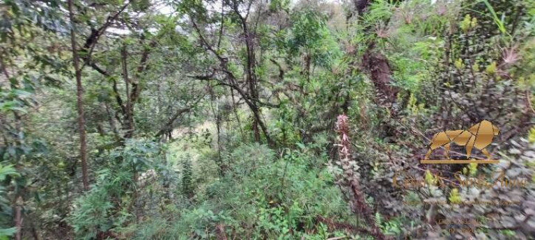 Imagem Terreno à Venda, 5.170 m² em Descansópolis - Campos Do Jordão Imagem Terreno à Venda, 5.170 m² em Descansópolis - Campos Do Jordão