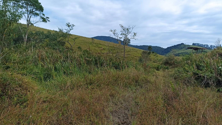 Imagem Fazenda à Venda, 200 m² em Lajeado - Paraibuna Imagem Fazenda à Venda, 200 m² em Lajeado - Paraibuna