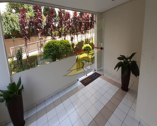 Imagem Apartamento com 3 Quartos à Venda, 65 m² em Jardim Jaqueline - São Paulo