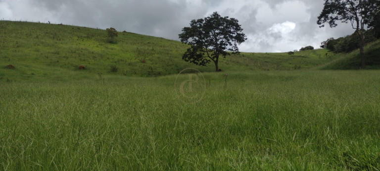 Imagem Chácara com 3 Quartos à Venda, 120 m² em Centro - Guaratinguetá
