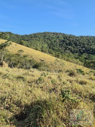 Imagem Chácara com 2 Quartos à Venda, 14.000 m² em Centro - Igaratá