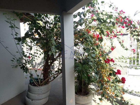Imagem Casa com 4 Quartos à Venda, 434 m² em Cidade Jardim - Pirassununga Imagem Casa com 4 Quartos à Venda, 434 m² em Cidade Jardim - Pirassununga