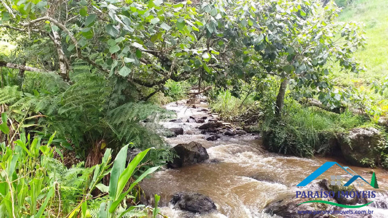 Imagem Chácara à Venda, 7 m² em Centro - Paraisópolis