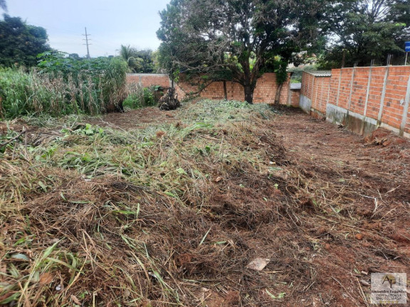 Imagem Terreno à Venda, 390 m² em Morada Dos Pássaros - Aparecida De Goiânia