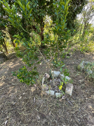 Imagem Chácara com 2 Quartos à Venda, 7.800 m² em Quintas Da Capela Nova - Itatiaiuçu Imagem Chácara com 2 Quartos à Venda, 7.800 m² em Quintas Da Capela Nova - Itatiaiuçu