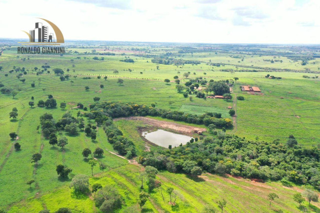 Imagem Fazenda à Venda, 18.150.000 m² em Jardim Monterey - Jales