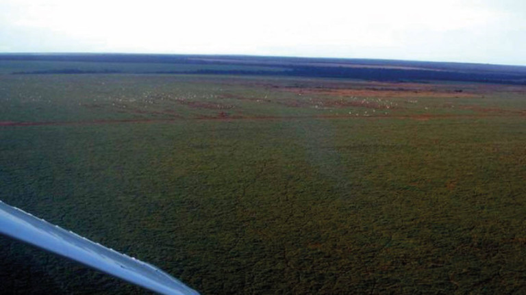 Imagem Chácara à Venda, 103.000 m² em Centro - Acorizal Imagem Chácara à Venda, 103.000 m² em Centro - Acorizal