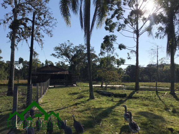 Imagem Chácara com 4 Quartos à Venda, 300 m² em Pinheiros - Balneário Barra Do Sul Imagem Chácara com 4 Quartos à Venda, 300 m² em Pinheiros - Balneário Barra Do Sul
