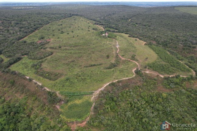 Imagem Imóvel à Venda, 41.000 m² em Centro - Presidente Olegário Imagem Imóvel à Venda, 41.000 m² em Centro - Presidente Olegário