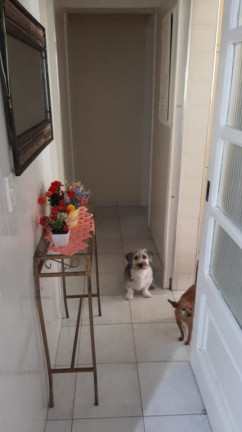 Imagem Casa com 3 Quartos à Venda, 148 m² em Jardim Suarão - Itanhaem Imagem Casa com 3 Quartos à Venda, 148 m² em Jardim Suarão - Itanhaem