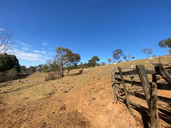 Imagem Terreno à Venda, 16 m² em Santa Terezinha De Minas - Itatiaiuçu Imagem Terreno à Venda, 16 m² em Santa Terezinha De Minas - Itatiaiuçu