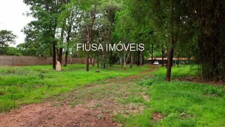 Imagem Imóvel à Venda, 5.000 m² em Itanhangá Chácaras De Recreio - Ribeirão Preto Imagem Imóvel à Venda, 5.000 m² em Itanhangá Chácaras De Recreio - Ribeirão Preto