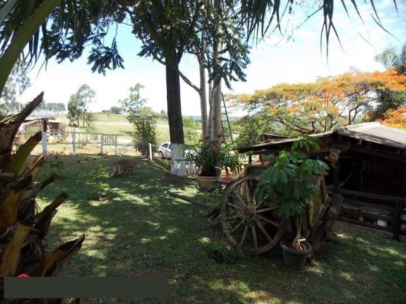 Imagem Imóvel com 2 Quartos à Venda, 42.350 m² em Sitio Novo - Artur Nogueira Imagem Imóvel com 2 Quartos à Venda, 42.350 m² em Sitio Novo - Artur Nogueira