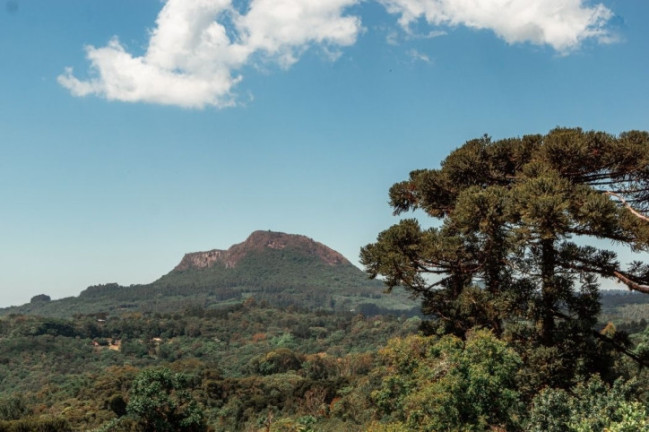 Imagem Terreno à Venda, 417 m² em Várzea Grande - Gramado Imagem Terreno à Venda, 417 m² em Várzea Grande - Gramado