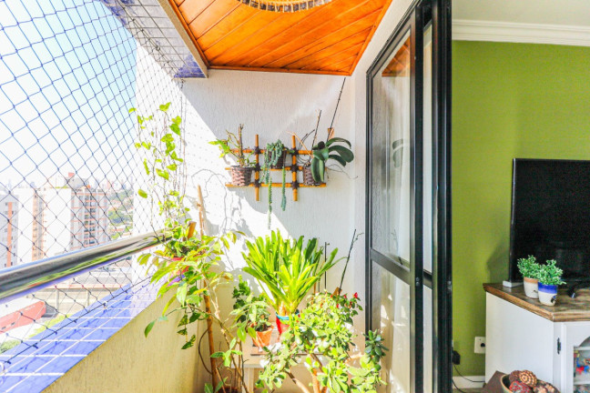 Imagem Apartamento com 2 Quartos à Venda, 70 m² em Vila Ipojuca - São Paulo