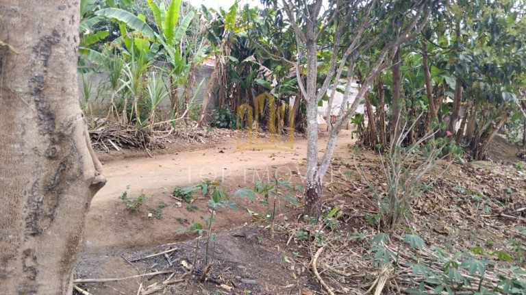 Imagem Chácara com 2 Quartos à Venda, 900 m² em Loteamento Portal Santa Inês - São José Dos Campos Imagem Chácara com 2 Quartos à Venda, 900 m² em Loteamento Portal Santa Inês - São José Dos Campos