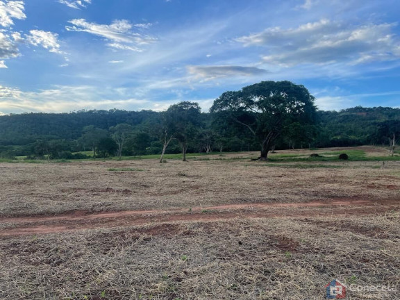 Imagem Imóvel à Venda, 1.255.000 m² em Centro - Campina Verde