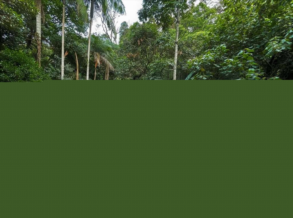 Imagem Casa com 3 Quartos à Venda, 380 m² em Campo Guairá - Jd. Da Glória - Carapicuíba