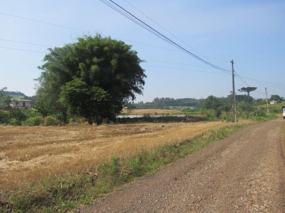 Imagem Terreno à Venda, 136.699 m² em Tamanduá - Concórdia Imagem Terreno à Venda, 136.699 m² em Tamanduá - Concórdia