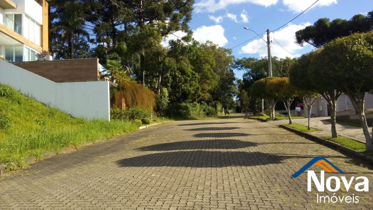 Imagem Imóvel à Venda, 750 m² em Juriti - Nova Petrópolis Imagem Imóvel à Venda, 750 m² em Juriti - Nova Petrópolis