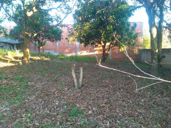 Imagem Chácara com 2 Quartos à Venda, 1.180 m² em Campo Do Meio - Araçoiaba Da Serra Imagem Chácara com 2 Quartos à Venda, 1.180 m² em Campo Do Meio - Araçoiaba Da Serra