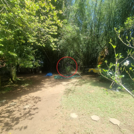 Imagem Casa com 2 Quartos à Venda, 237 m² em Boiçucanga - São Sebastião Imagem Casa com 2 Quartos à Venda, 237 m² em Boiçucanga - São Sebastião