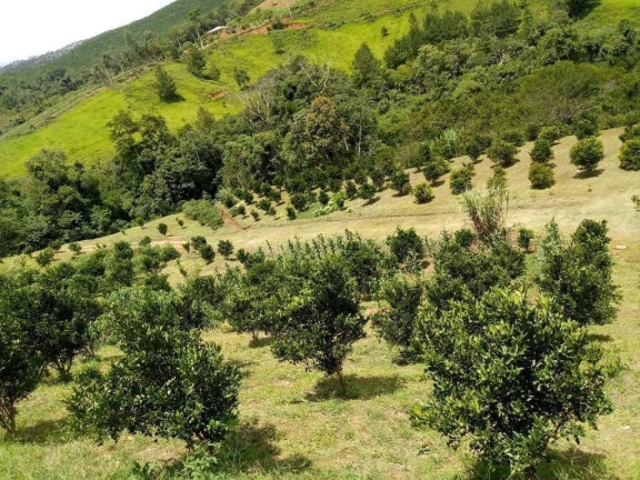 Imagem Imóvel com 2 Quartos à Venda, 51.700 m² em Centro - Cerro Azul Imagem Imóvel com 2 Quartos à Venda, 51.700 m² em Centro - Cerro Azul