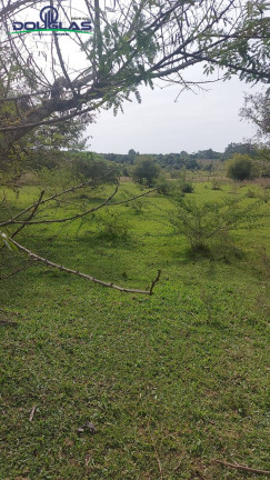 Imagem Chácara à Venda, em Viamão Imagem Chácara à Venda, em Viamão