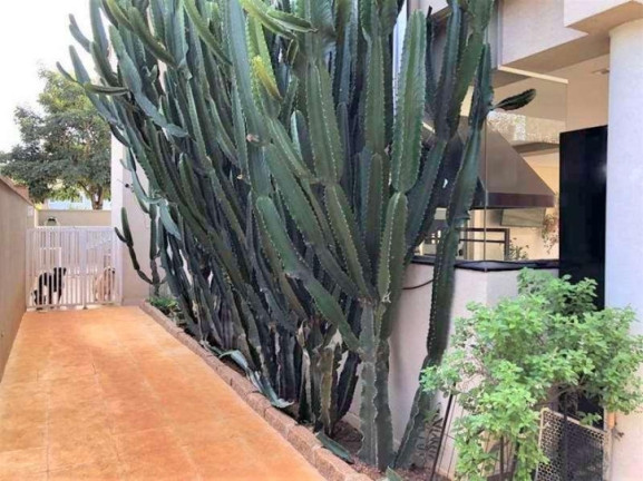 Imagem Casa com 4 Quartos à Venda, 282 m² em Granja Viana - Cotia Imagem Casa com 4 Quartos à Venda, 282 m² em Granja Viana - Cotia