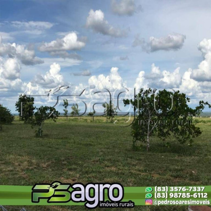 Imagem Fazenda à Venda, 100.000.000 m² em Cuiabá Imagem Fazenda à Venda, 100.000.000 m² em Cuiabá