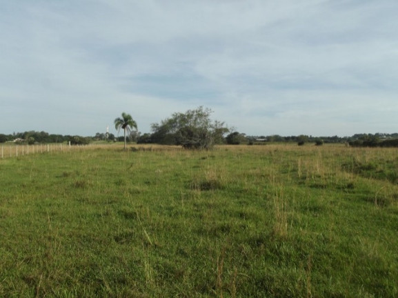 Imagem Chácara à Venda, 8 m² em águas Claras - Viamão Imagem Chácara à Venda, 8 m² em águas Claras - Viamão