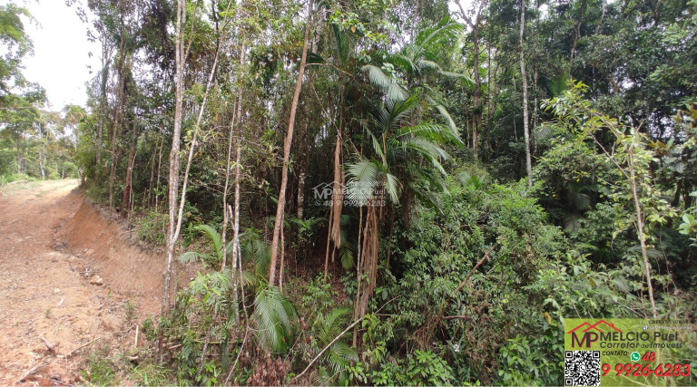 Imagem Imóvel à Venda,  em Loro - Major Gercino