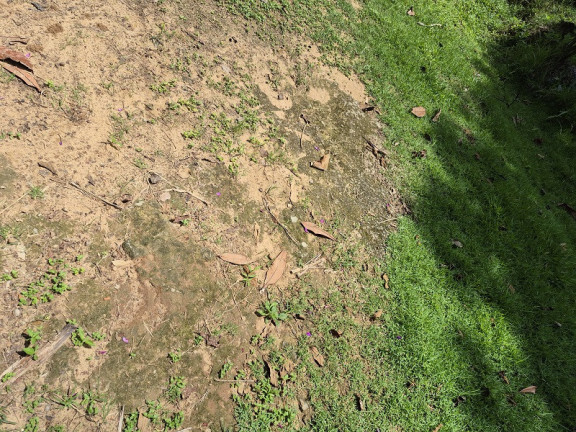 Imagem Imóvel à Venda, em São José Dos Campos Imagem Imóvel à Venda, em São José Dos Campos
