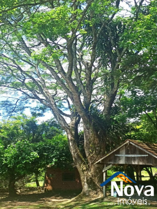 Imagem Imóvel à Venda, em Linha Pirajá - Nova Petrópolis Imagem Imóvel à Venda, em Linha Pirajá - Nova Petrópolis