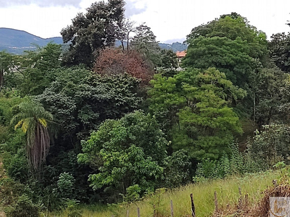 Imagem Terreno à Venda, 7.700 m² em Fazendinha Do Barão - Santa Luzia Imagem Terreno à Venda, 7.700 m² em Fazendinha Do Barão - Santa Luzia
