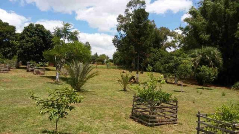 Imagem Fazenda à Venda, em Centro - Arroio Dos Ratos Imagem Fazenda à Venda, em Centro - Arroio Dos Ratos