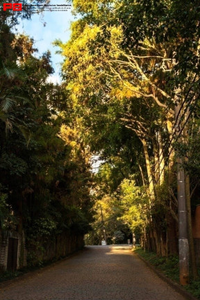 Imagem Casa com 5 Quartos à Venda, 1.300 m² em Chácara Flora - São Paulo Imagem Casa com 5 Quartos à Venda, 1.300 m² em Chácara Flora - São Paulo