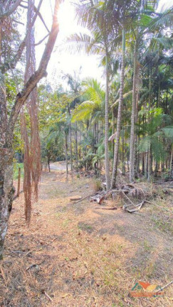 Imagem Terreno à Venda, 5.300 m² em Espírito Santo - Paraibuna