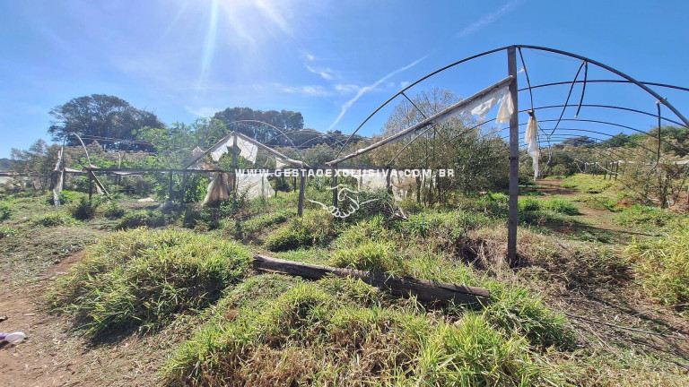 Imagem Chácara à Venda, 80.700 m² em área Rural De Morungaba - Morungaba
