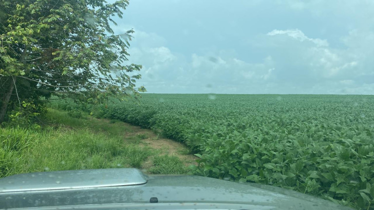 Imagem Fazenda à Venda, 963 m² em Rural - Rosário Oeste