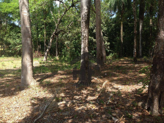 Imagem Terreno à Venda, 10.700 m² em Loteamento Enseada Dos Corais - Cabo De Santo Agostinho Imagem Terreno à Venda, 10.700 m² em Loteamento Enseada Dos Corais - Cabo De Santo Agostinho