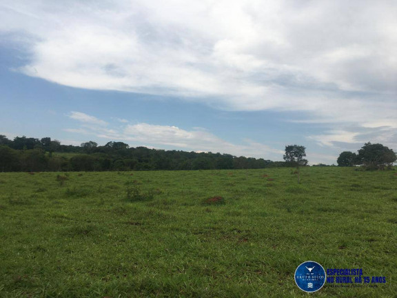 Imagem Chácara à Venda, 24 m² em Zona Rural - Petrolina De Goiás Imagem Chácara à Venda, 24 m² em Zona Rural - Petrolina De Goiás